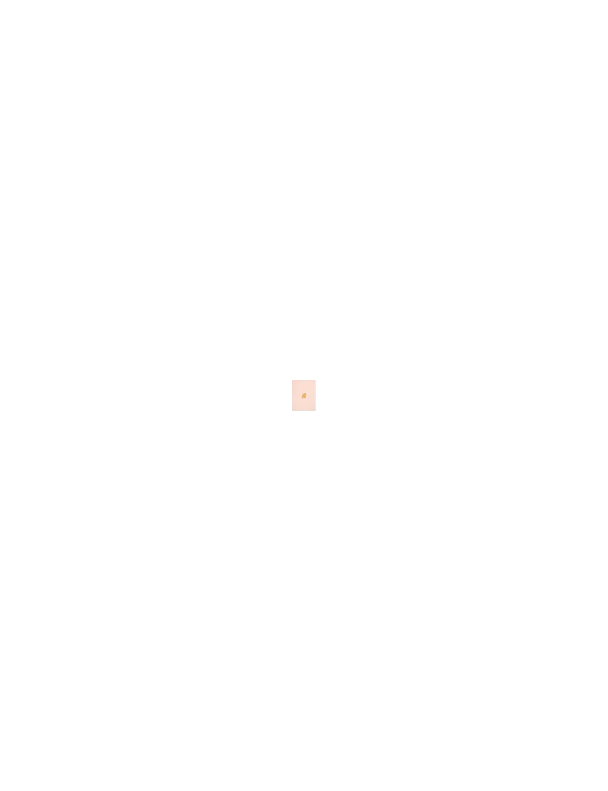 image_85ae54f9-9dc9-4044-8ba3-8dd61d11ffa3