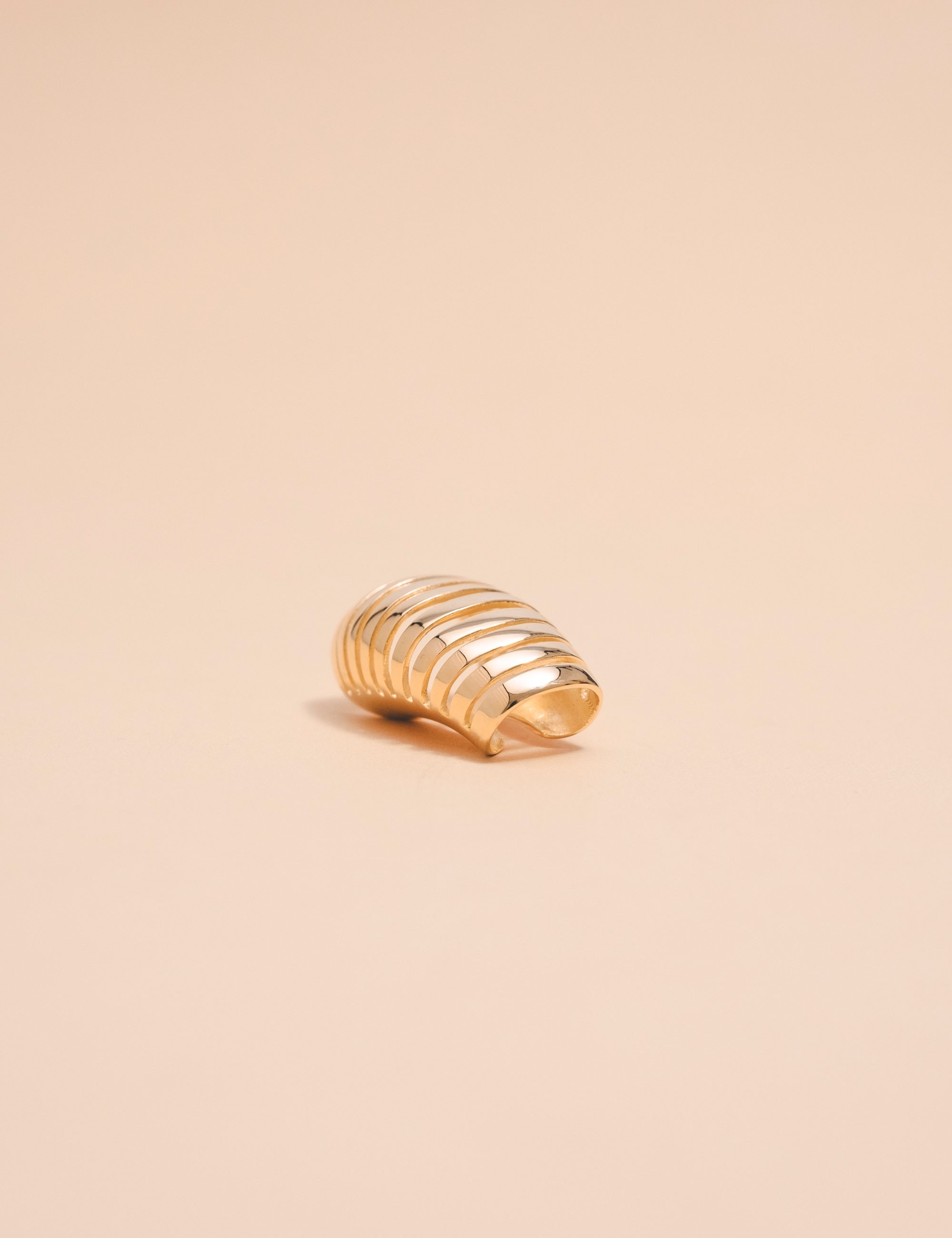 Piercing Lisa Gold