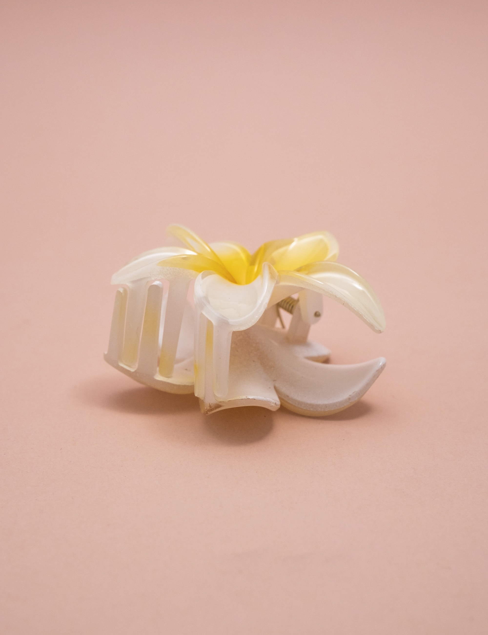 image_555b94fa-4195-4ed8-aedb-b2a4099a83b8