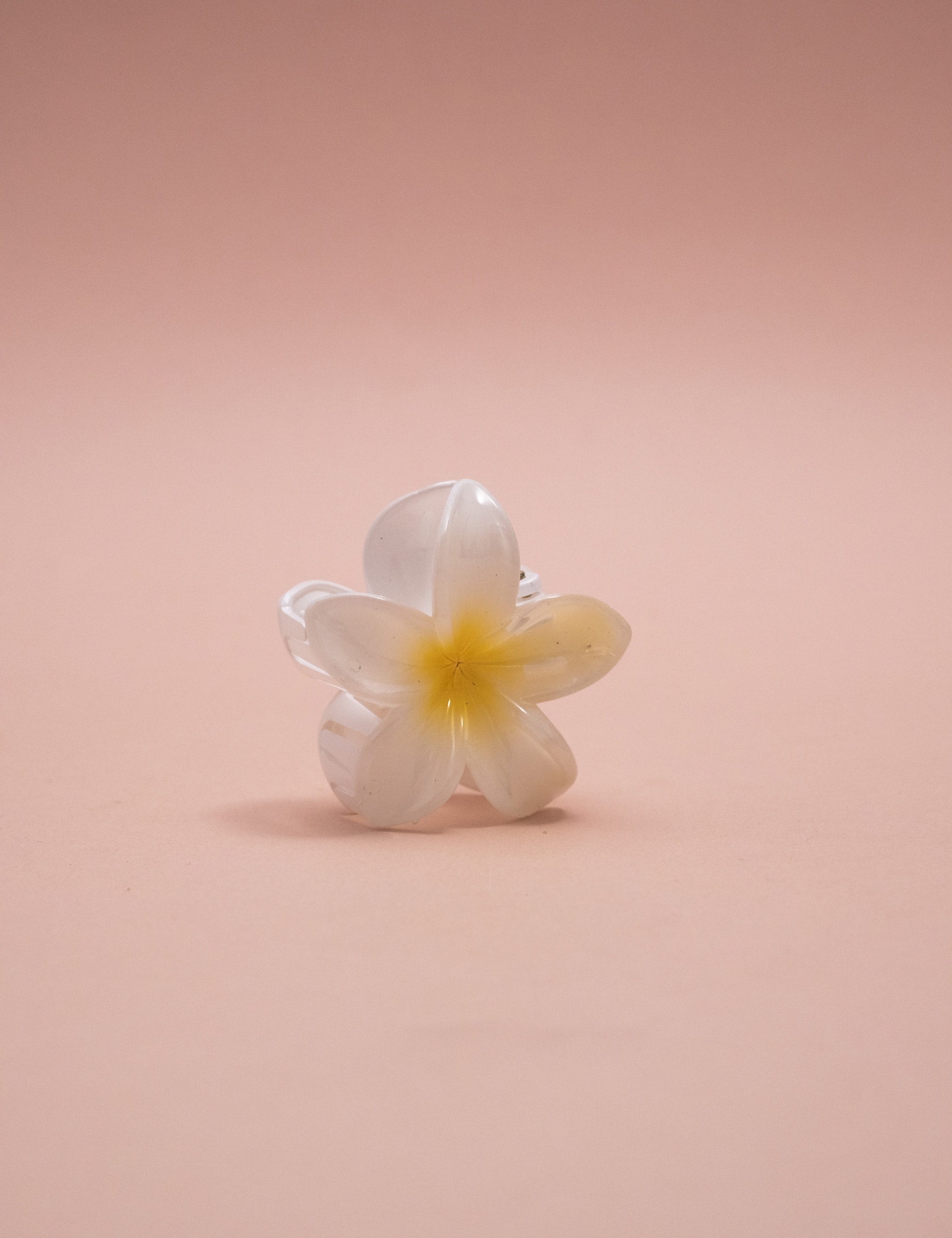 PRESILHA FLOR BRANCO & AMARELO P - PR29007VO04