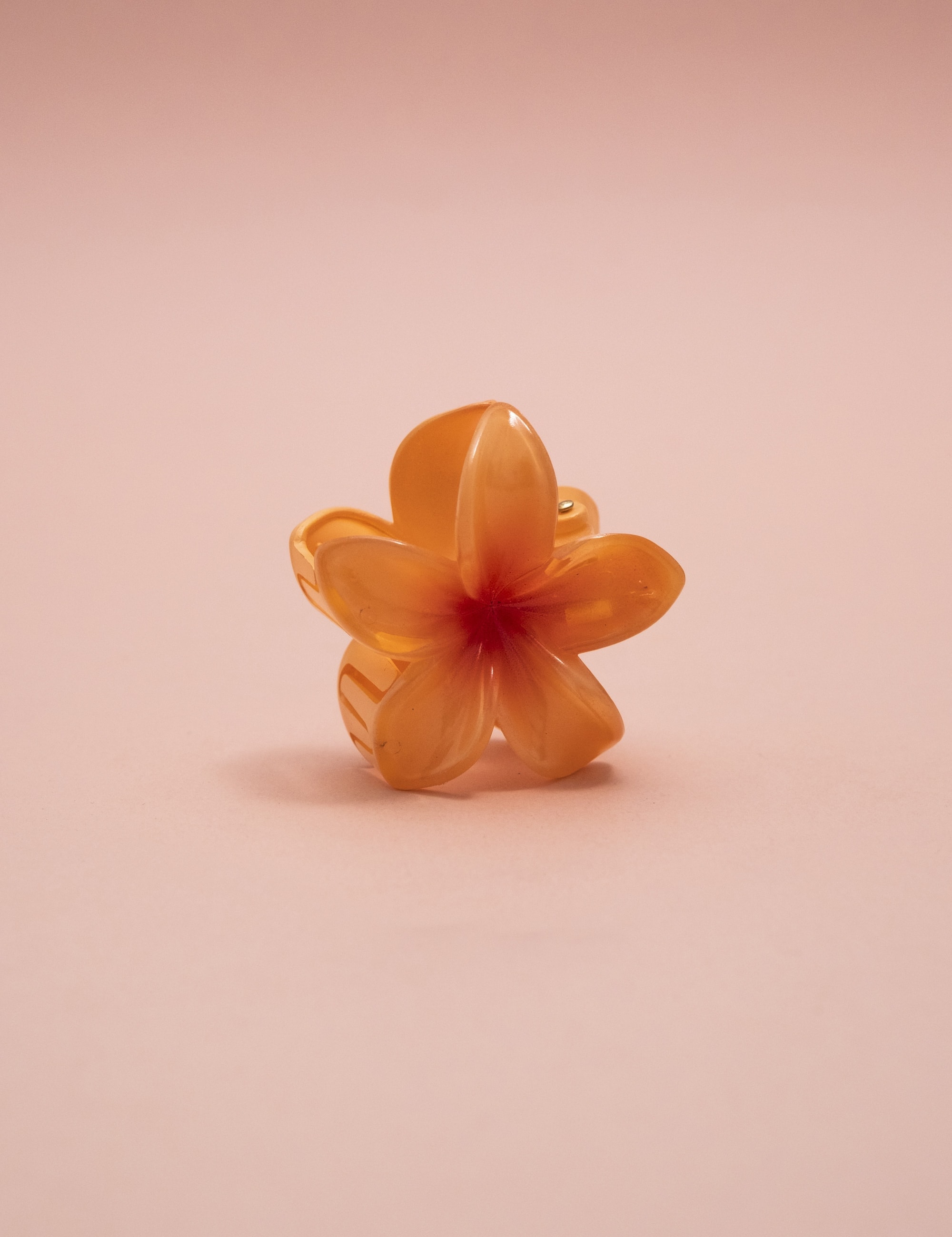 image_b87972bc-5702-4698-acbe-9d60b0f73d24