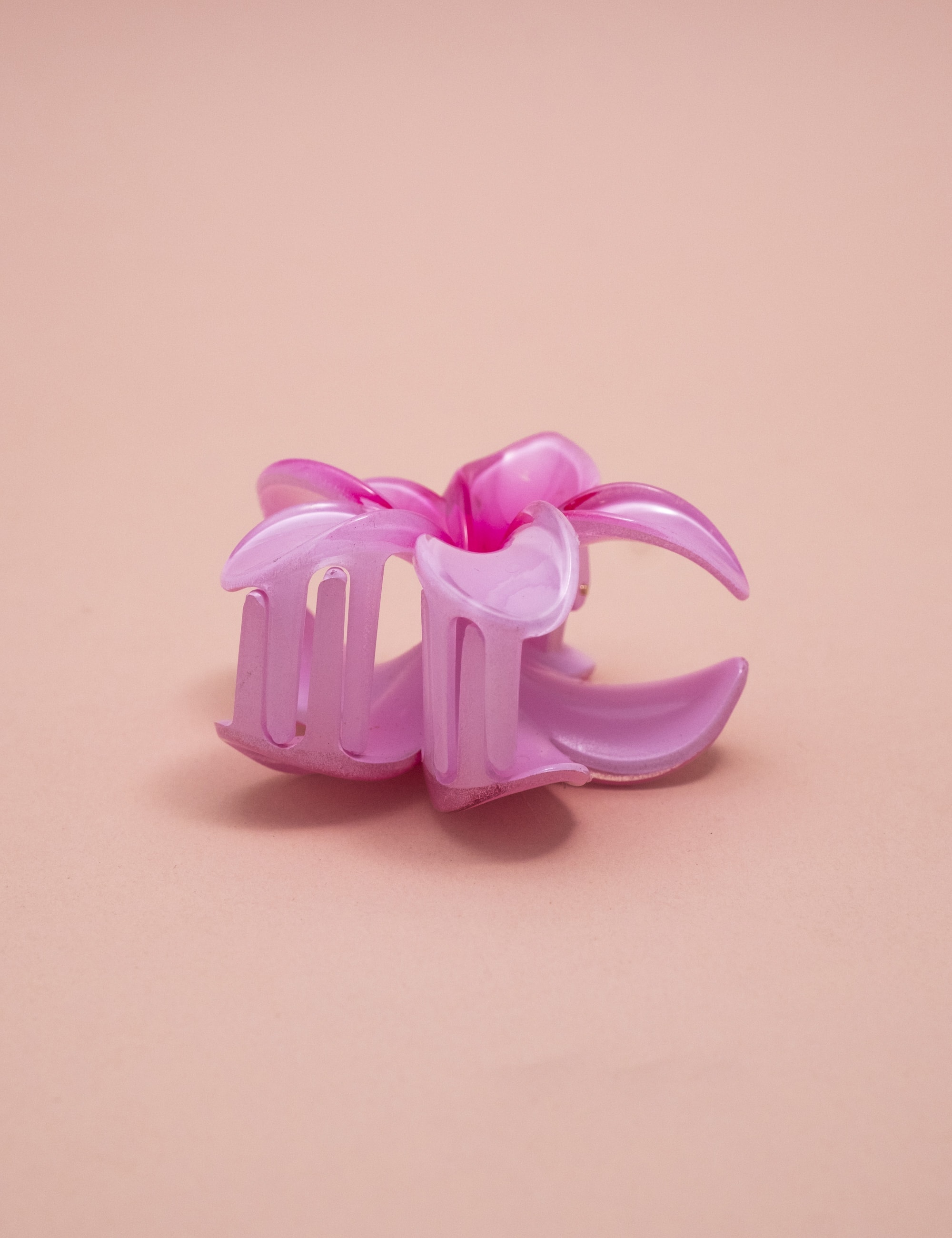 image_bc7e564b-fc6e-45d5-b69d-4b127a6fea98